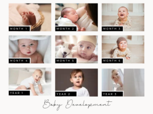 Beby Development Chart